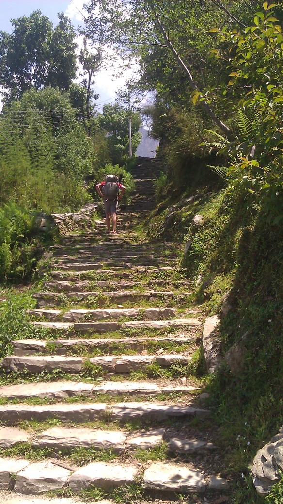 The endless steps up to Ghorepani (seven hours of this)...